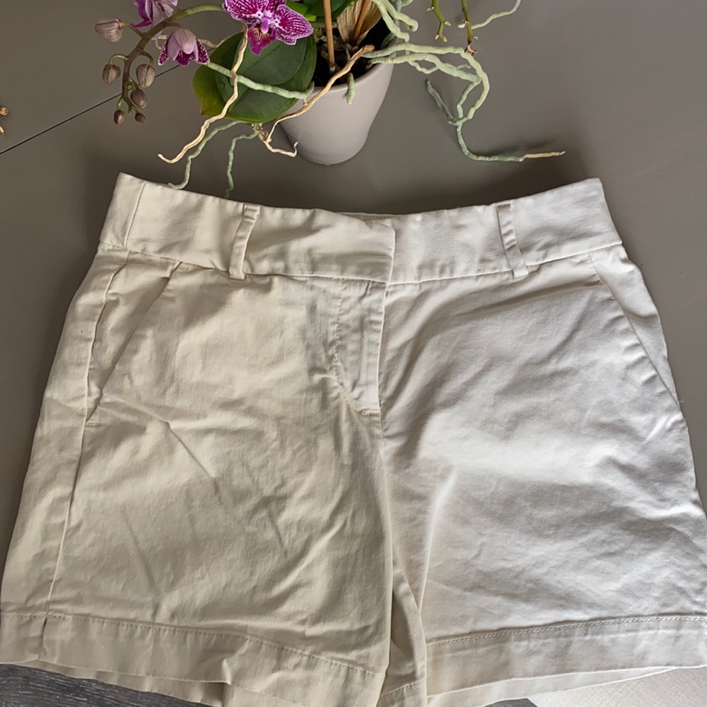 Loft shorts
